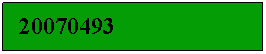 Text Box:   20070493 