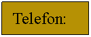 Text Box:   Telefon:	