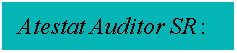 Text Box:   Atestat Auditor SR :